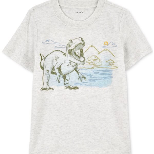 Carters Toddler Boys Dinosaur Graphic Gray