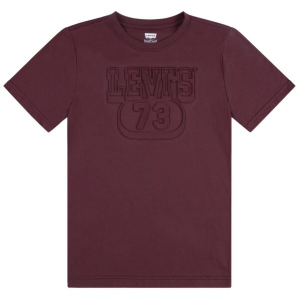 Levis Big Boys Embossed Tee Chocolate L 1416