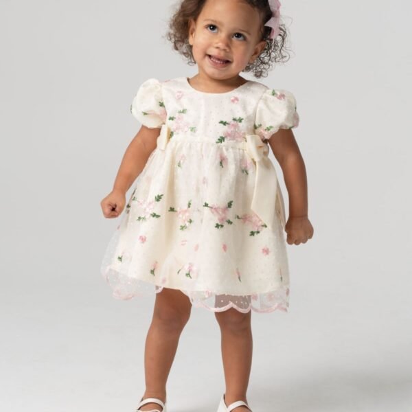 Rare Editions Rare Editions Baby Girls Embro Ivory